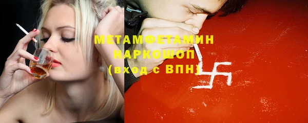 шишки Белокуриха