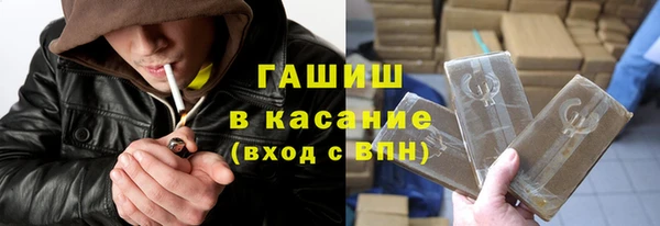 шишки Белокуриха