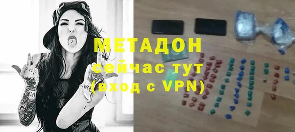 шишки Белокуриха