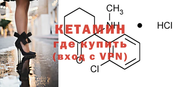 шишки Белокуриха