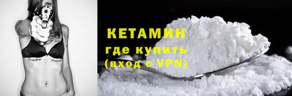 шишки Белокуриха