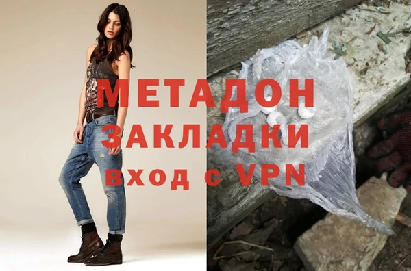 шишки Белокуриха