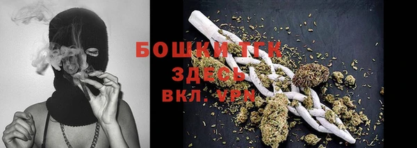 шишки Белокуриха