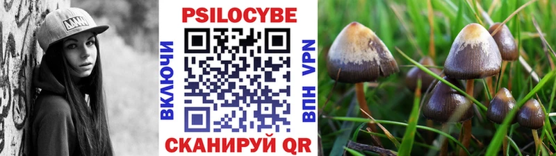 Псилоцибиновые грибы прущие грибы  Салават 